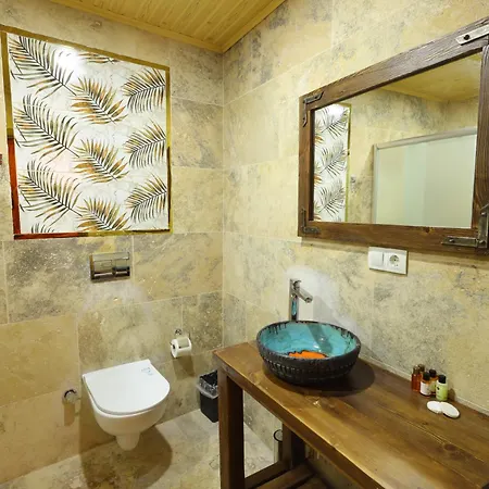 Cappadocia Tughan Stone House Hotel *